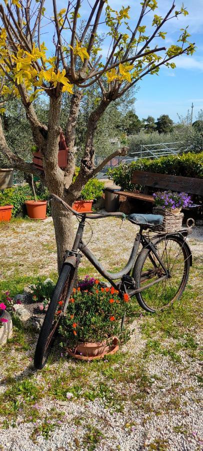 Antico Trullo Immerso Nella Campagna Alberobello Exteriör bild